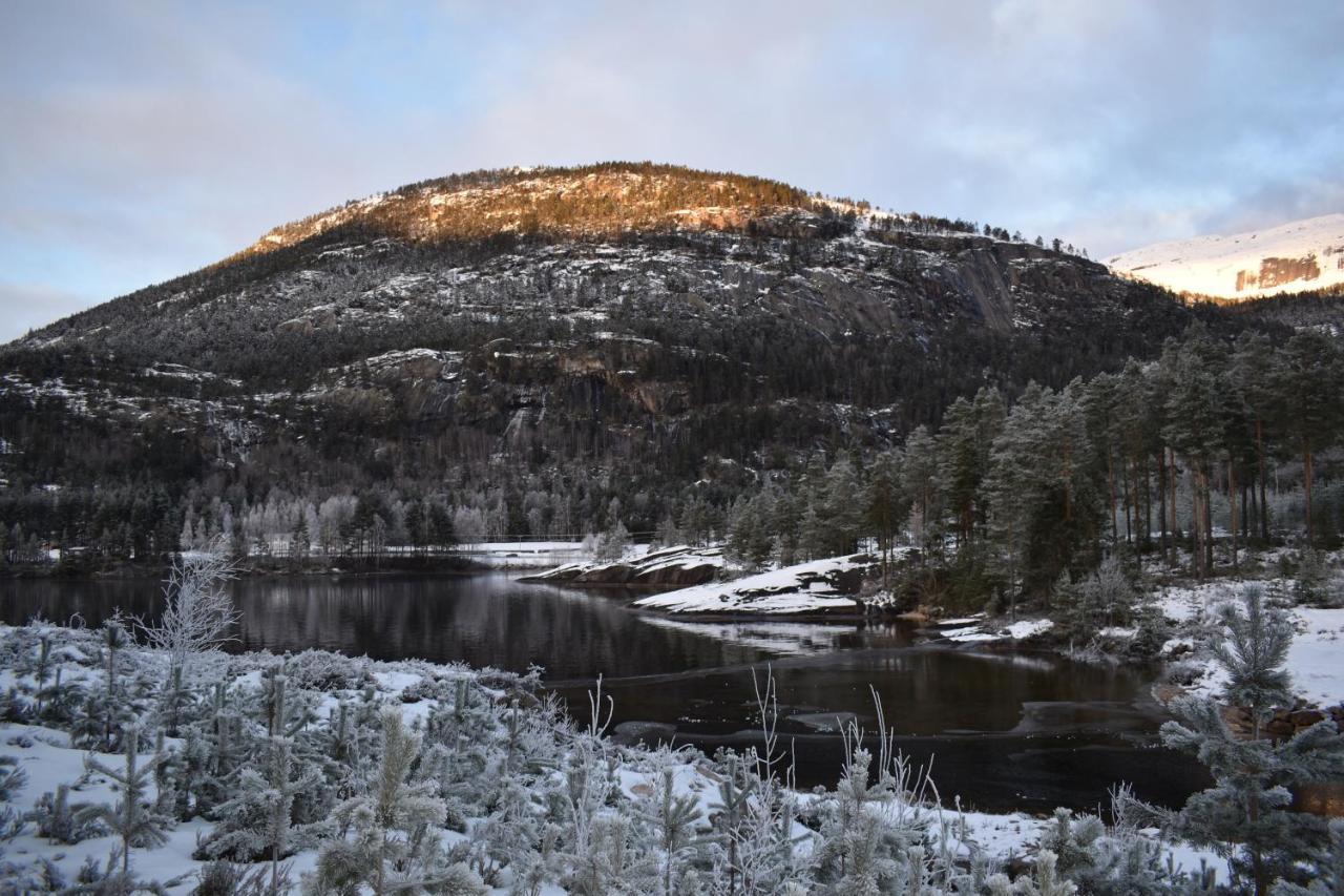 Norbel Hytte Norway 브라달 외부 사진